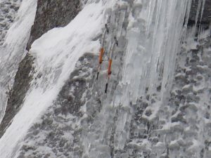 Matt Hornor,s tools on Gorillas in the Mist. - Photo by Jessew