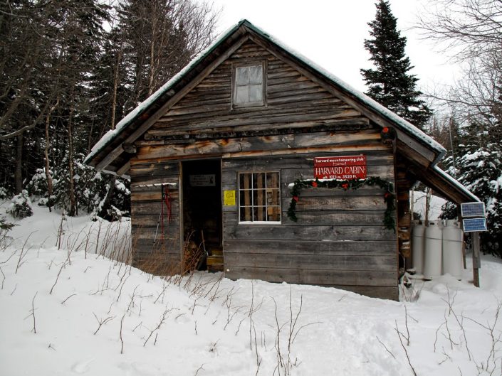 Harvard Cabin
