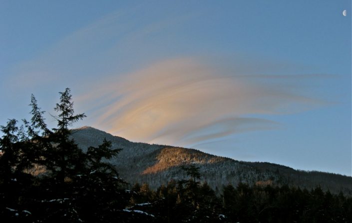 1adk beauty