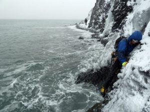 Michael Wejchert cox cove NL