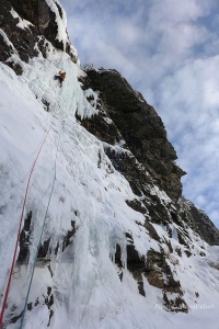 Newfoundland-Ryan-Climbing---Alden