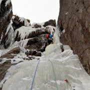 Brent leading Scylla