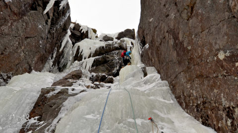 Brent leading Scylla