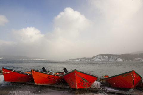 Fishing boats along a Newfoundland shore.